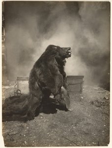 Låt den listiga svartbjörnen dansa sin dans av Edward S. Curtis