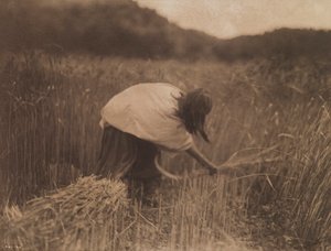 Apache-skördemannen av Edward S. Curtis