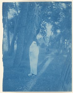 Väntan i skogen - Cheyenne