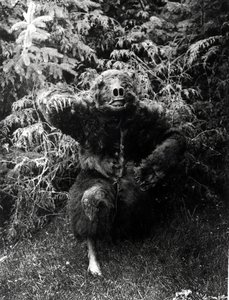 Nane-Qagyuhl, indiandräkt av Edward Sheriff Curtis