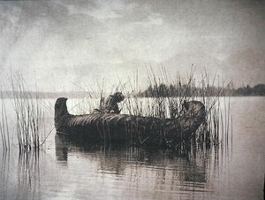 The Rush Gatherer, Montana (s/v foto) av Edward Sheriff Curtis
