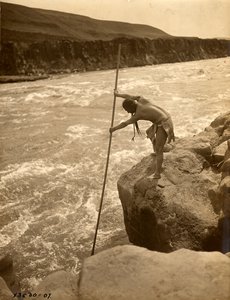 Tlakluit-indian, stående på klippa, fiskar med håv, ca 1910 (svartvitt foto) av Edward Sheriff Curtis