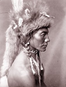 Gul njure, Piegan av Edward Sheriff Curtis