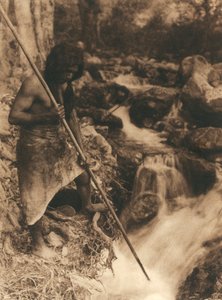 Ung amerikansk indian från Hupa-stammen eller -byn fiskar lax med en lång pinne. Han bär ett djurskinn knutet runt sina ländryggar. Bakom honom skog och en bäck av Edward Sheriff Curtis