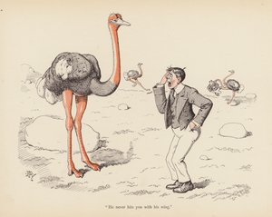 Tails with a Twist: Strutsen (färg litho)