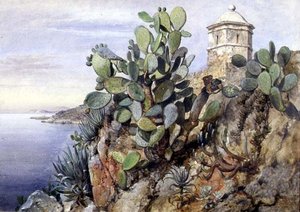 Kaktuskaktus, Monaco av Edward William Cooke