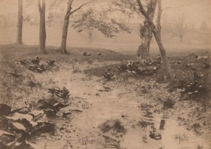 Vårlandskap,1890-talet (foto) av Edward Willis Redfield