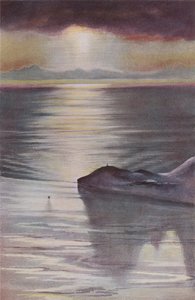 Hut Point från Observation Hill, 1911, 1913. av Charles Edward Wilson