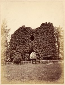 Utsikt över en dårskap i Roundhay Park (albumintryck) av Edward Wormald