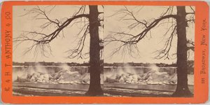 American Falls och Ice Mounds av Edward and Henry T. Anthony and Co.