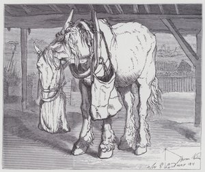 En vagnhäst av Edwin (after) Landseer