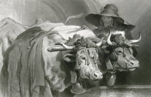 Oxar vid tanken, Genève (gravyr) av Edwin (after) Landseer