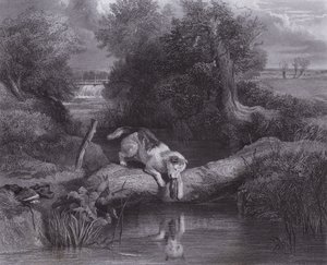 Hunden och skuggan (gravyr)