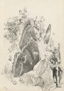 Botten och Titania, illustration till En midsommarnatt av Edwin Austin Abbey