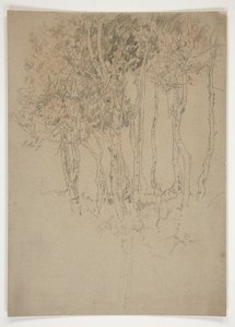 Skiss av en dunge av träd av Edwin Austin Abbey