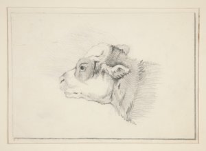 Skiss av ett får av Edwin Austin Abbey