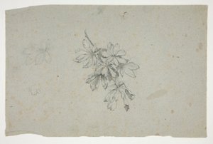 Studie av en gren med löv av Edwin Austin Abbey