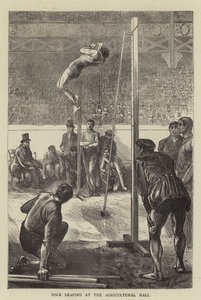 Polleaping vid Lantbrukshallen av Edwin Buckman