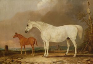 Okänd bild av Edwin Cooper