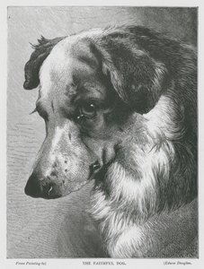 Den trogna hunden (gravyr) av Edwin Douglas