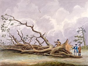 Träd skadade av en storm den 15 oktober, Roehampton, London, 1780
