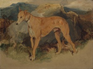 En rådjurshund, 1826. av Edwin Landseer