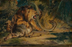 Lejon som försvarar sitt byte, c. 1840.