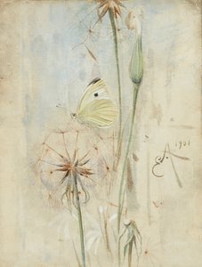 Butterfly and Thistledown (akvarell)