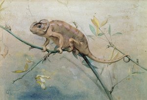 Chameleon, 1901 (wc på papper)