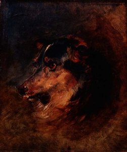 En huvudstudie av en colliehund av Edwin Landseer