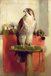 Falk, 1837