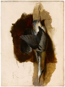 Studie av en död häger, ca 1832-33 av Edwin Landseer