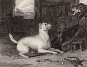 Inkräktaren av Edwin Landseer
