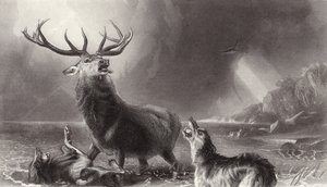 Stag at Bay av Edwin Landseer