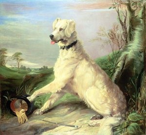 Warten auf den Meister von Edwin Landseer