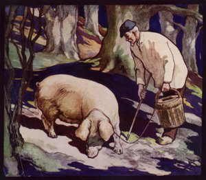 En fransk tryffeljaktsgris (färg litho)