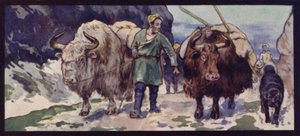 A Thibetan Yak Train (färgmedlemmar)