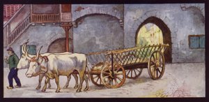 Draft Oxen i Spanien (färg litho)
