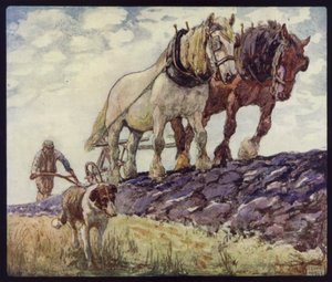 Engelska vagn-hästar plöjning (färg litho)