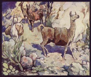 Lamor i Anderna (färg litho) av Edwin Noble