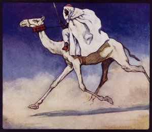 Racing Camel (färg litho)