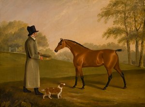 A Horse in a Landscape with the Groom, David, Bennet, c.1805 (olja på duk)