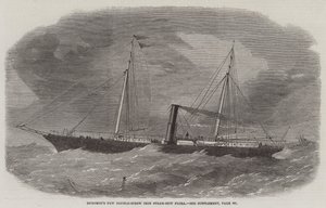 Dudgeons nya dubbelskruvsjärn Steam-Ship Flora