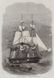 HM Steam-Corvette Racoon, 22 kanoner