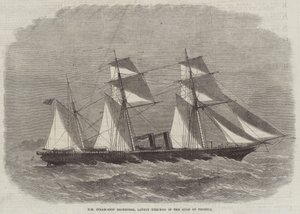 HM Steam-Ship Racehorse, nyligen vraket i Pechelibukten