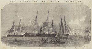 Hennes Majestäts Despatch Gun-Boats, Lynx, Beagle, Arrow och Viper