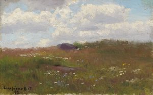 Äng med sommarblommor av Eero Järnefelt