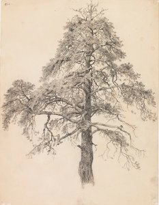Talltopp av Eero Järnefelt