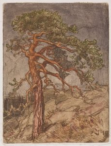 Tall på en klippa av Eero Järnefelt