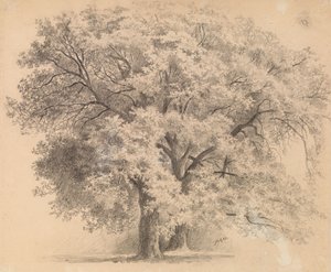  av Eero Järnefelt